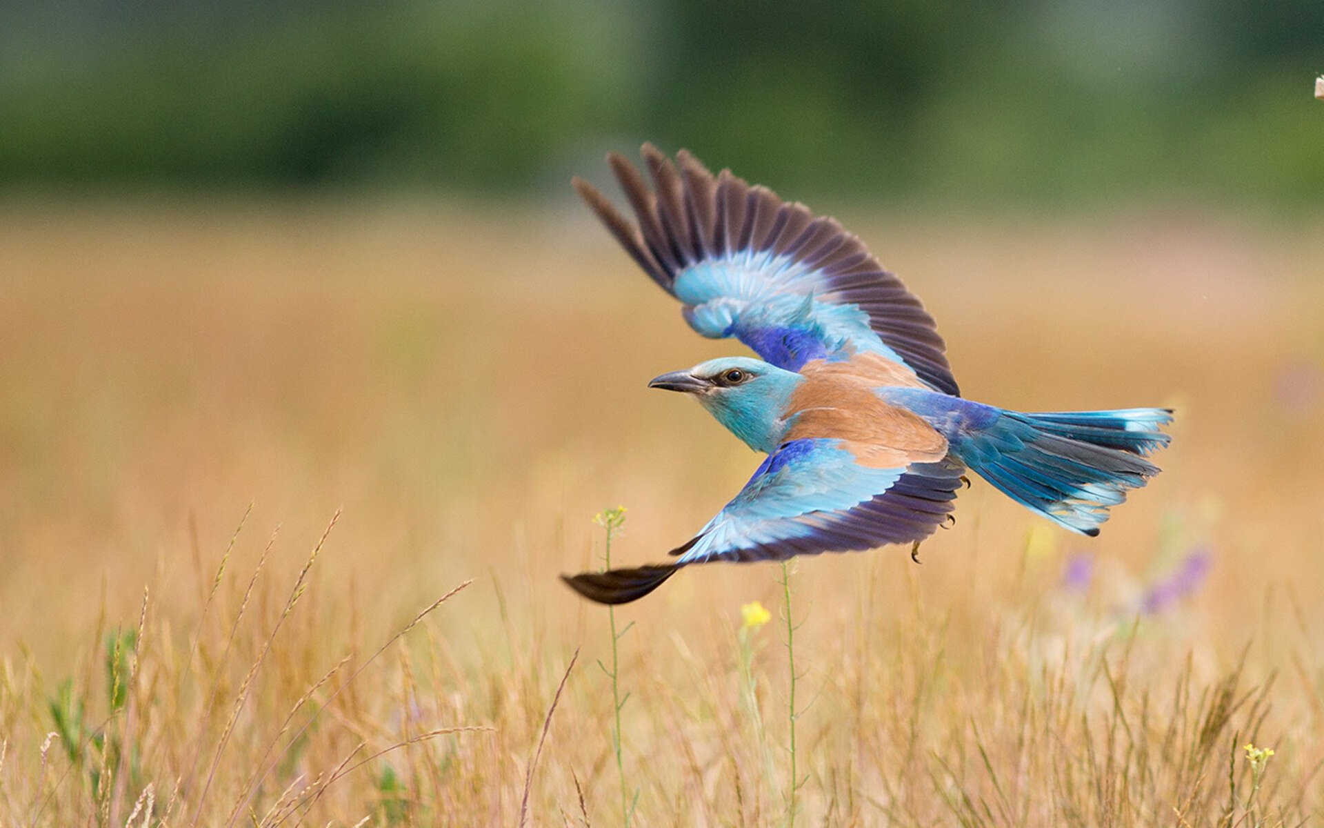 开yun体育-李恩：在比赛中不断突破对方防线，为全黑队制造无限威胁，搜索李恩