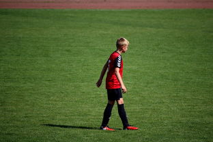 中国足球职业俱乐部球员转会市场活跃度提升，中国足球协会球员身份与转会管理规定